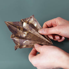 Load image into Gallery viewer, Paper Dinos | Perfect For Dino Enthusiasts | Cute DIY Kit
