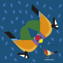 Load image into Gallery viewer, Birds: Fold & Play