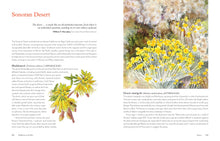 Load image into Gallery viewer, Wildflowers of the West
