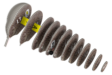 Load image into Gallery viewer, EUGY Kiwi 3D Puzzle