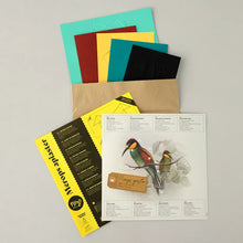 Load image into Gallery viewer, Bee-Eater - Bird 3D Paper Figure By Plego