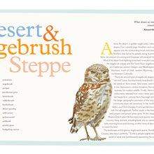 Load image into Gallery viewer, Birds of the West An Artist's Guide