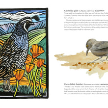 Load image into Gallery viewer, Birds of the West An Artist's Guide