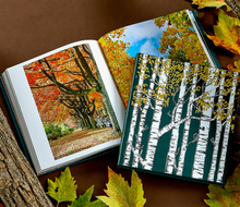 Load image into Gallery viewer, Hidden Life of Trees