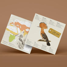 Load image into Gallery viewer, Hoopoe - Bird 3D Paper Figure By Plego