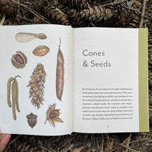 Load image into Gallery viewer, Knowing the Trees: Discover the Forest from Seed To Snag