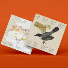 Load image into Gallery viewer, Sardinian Warbler - Bird 3D Paper Figure By Plego