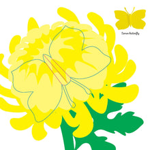 Load image into Gallery viewer, Insects: Fold & Play