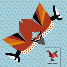 Load image into Gallery viewer, Birds: Fold & Play