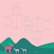 Load image into Gallery viewer, Baby Animals: Fold & Play