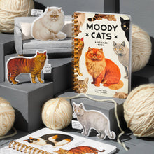 Load image into Gallery viewer, Brass Monkey Moody Cats Sticker Book