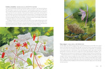 Load image into Gallery viewer, Wildflowers of the West