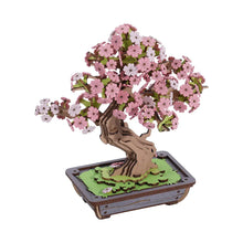 Load image into Gallery viewer, Rolife Sakura Bonsai 3D Puzzle Kit