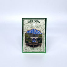 Load image into Gallery viewer, Multnomah Falls - Large Enamel Pin