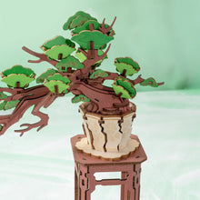 Load image into Gallery viewer, Rolife Evergreen Pine Bonsai 3D Puzzle Kit
