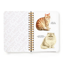 Load image into Gallery viewer, Brass Monkey Moody Cats Sticker Book
