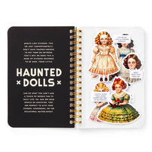 Load image into Gallery viewer, Brass Monkey Haunted Dolls Sticker Book
