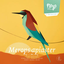 Load image into Gallery viewer, Bee-Eater - Bird 3D Paper Figure By Plego
