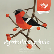 Load image into Gallery viewer, Bullfinch - Bird 3D Paper Figure By Plego
