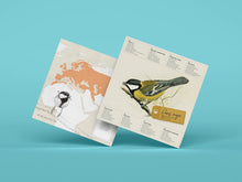 Load image into Gallery viewer, Great Tit - Bird 3D Paper Figure By Plego
