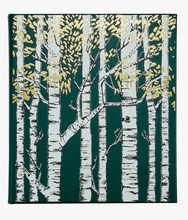 Load image into Gallery viewer, Hidden Life of Trees

