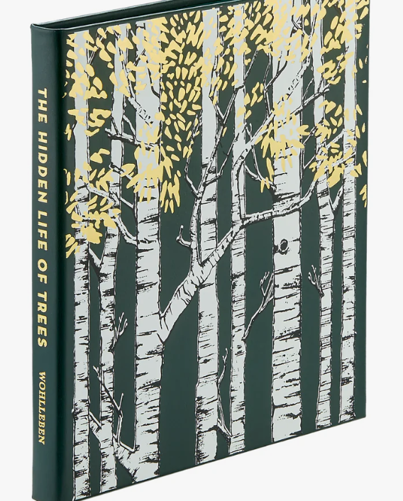 Hidden Life of Trees