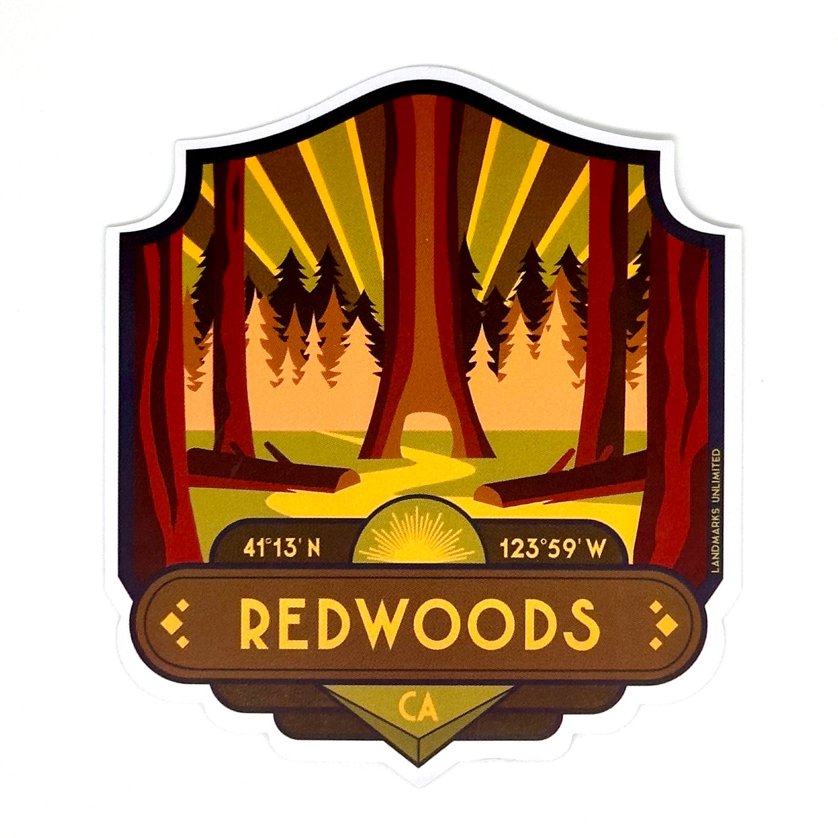 Redwoods California - 4