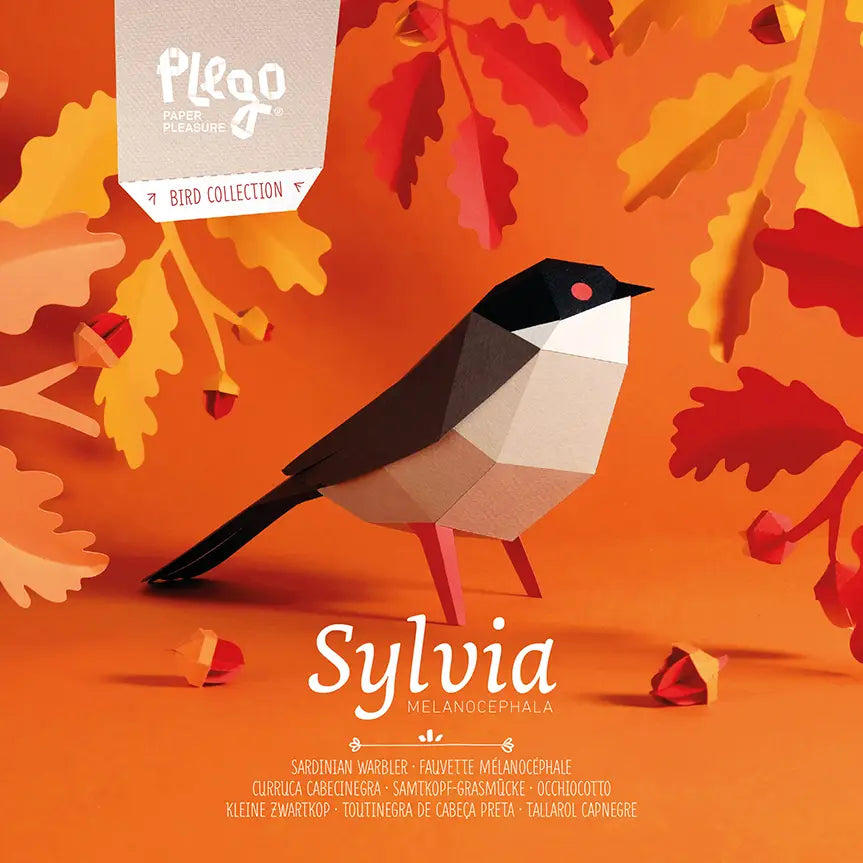 Sardinian Warbler - Bird 3D Paper Figure By Plego