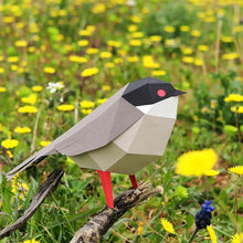 Load image into Gallery viewer, Sardinian Warbler - Bird 3D Paper Figure By Plego
