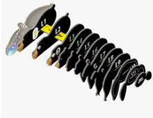 Load image into Gallery viewer, EUGY Black Bear 3D Puzzle
