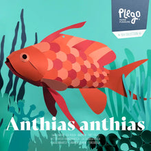 Load image into Gallery viewer, Swallow Sea Perch - Fish 3D Paper Figure By Plego
