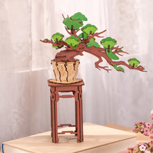 Load image into Gallery viewer, Rolife Evergreen Pine Bonsai 3D Puzzle Kit
